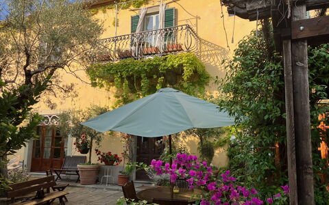 Villa Toppani Del Sodo: Plant, Building, Property, Botany, Flower, Shade, Lighting, Architecture, Outdoor Table, House