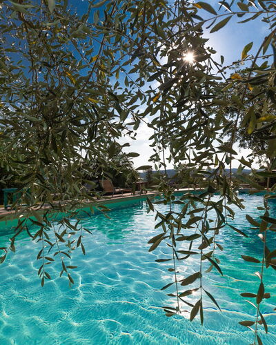 Villa Poggiospinoso: Swimming Pool, Leisure, Resort, Water, Leisure Centre, Vacation, Tree, Hotel, Recreation, Plant