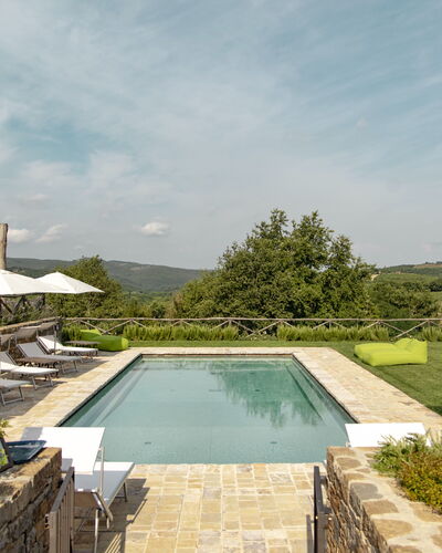 Villa Pianvecchio: Plant, Swimming Pool, Garden, Composite Material, Shrub, Resort, Landscaping, Yard, Tile