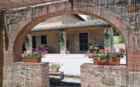 Agriturismo L'incrociata: Plant, Flower, Window, Flowerpot, Building, Shade, Brickwork, Brick, Houseplant, Wood