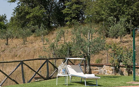 Villa Miravalle: Water, Plant, Sky, Property, Swimming Pool, Shade, Outdoor Furniture, Tree, Natural Landscape, Grass