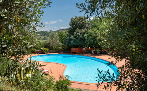 Villa Laura: Water, Plant, Water Resources, Sky, Cloud, Swimming Pool, Azure, Natural Landscape, Tree, Shade