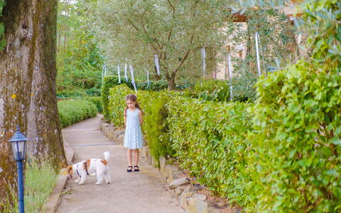 Borgo San Vincenti: Green, Leaf, Shrub, Spring, Garden, Leisure, Recreation, Vacation, Sunlight