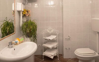 Giaggiolo: Mirror, Plant, Plumbing Fixture, Property, Sink, Tap, White, Bathroom, Bathroom Sink, Purple