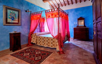 Accommodation:&nbsp;Zaffiro