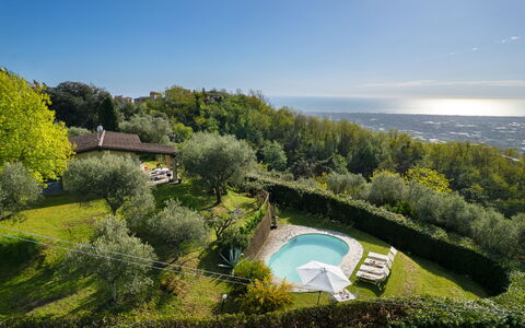 Villa Elisa: Natural Landscape, Landscape, Swimming Pool, Garden, Estate, Landscaping, Eco Hotel, Plantation, Villa, Farmhouse