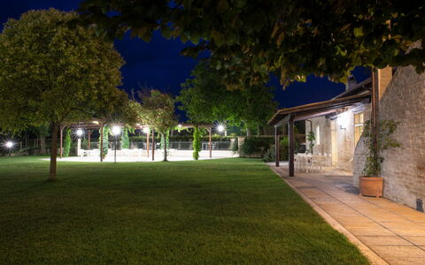 Villa Papiano: Plant, Building, Nature, Road Surface, Tree, Architecture, Shade, Grass, Window, City