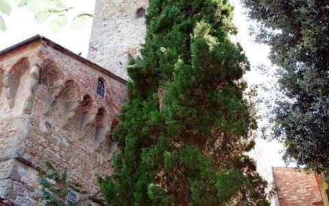 Accommodation:&nbsp;Tower