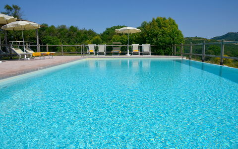 Villa Guardistallo: Water, Sky, Property, Swimming Pool, Azure, Body Of Water, Tree, Leisure, Aqua, Plant