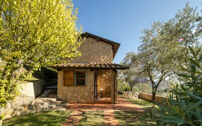 Casa Del Colle: Plant, Sky, Plant Community, Building, Window, Natural Landscape, Wood, Tree, Land Lot, Grass