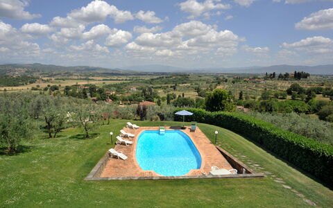 San Lorenzo: Cloud, Sky, Plant, Property, Plant Community, Tree, Natural Landscape, Swimming Pool, Land Lot, Vegetation