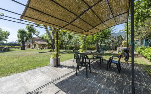 Villa Chio: Plant, Property, Table, Shade, Tree, Outdoor Furniture, Grass, Public Space, Chair, Outdoor Table