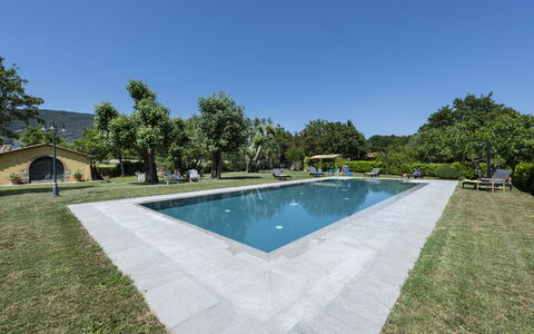Villa Chio: Water, Sky, Swimming Pool, Plant, Tree, Shade, Body Of Water, Rectangle, Building, Residential Area