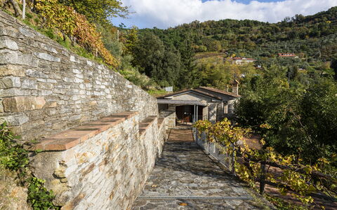 Villa Montignoso: Sky, Plant, Cloud, Building, Wood, Natural Landscape, Mountain, Slope, Road Surface, Tree