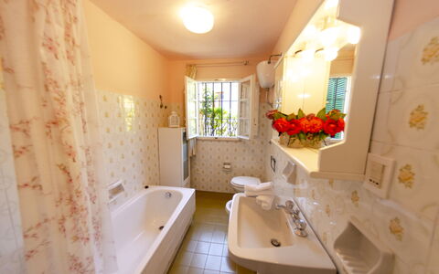 Alla Collina Del Sole: Bathtub, Plumbing Fixture, Property, Bathroom, Building, Interior Design, Architecture, Window, Mirror, Plant