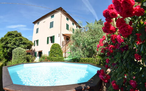 Alla Collina Del Sole: Flower, Water, Sky, Plant, Property, Daytime, Cloud, Green, Building, Blue