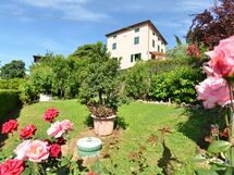 Alla Collina Del Sole