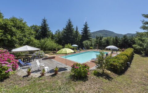 Villa Rosata: Plant, Water, Flower, Umbrella, Plant Community, Swimming Pool, Sky, Tree, Outdoor Furniture, Natural Landscape