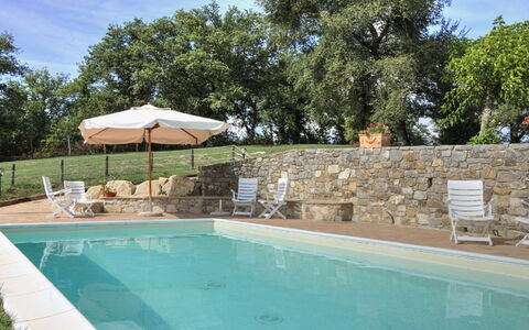 Villa Di Gaiole: Water, Plant, Swimming Pool, Sky, Azure, Tree, Chair, Shade, Cloud, Body Of Water