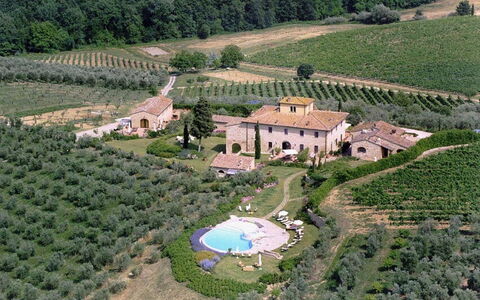 Sole Del Chianti: Property, Building, Plant, Ecoregion, Natural Landscape, Nature, Land Lot, Tree, Architecture, Urban Design