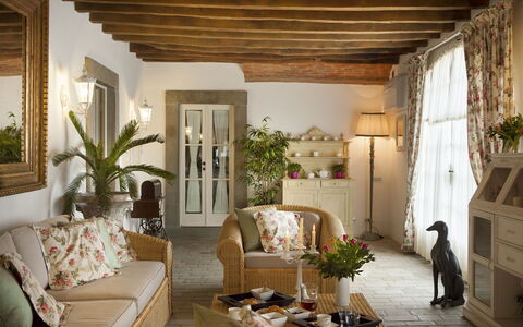 Chianti Fornace 1: Plant, Property, Houseplant, Couch, Interior Design, Floor, Living Room, Real Estate, Wood, Shade