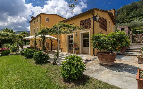 Villa Castellaccio: Plant, Sky, Cloud, Property, Building, Window, Land Lot, House, Vegetation, Tree