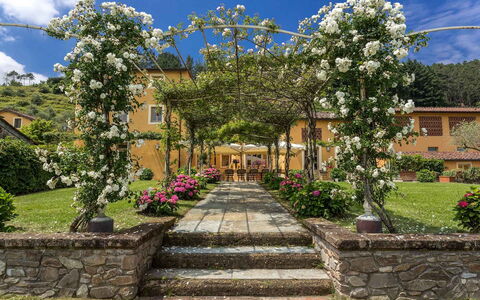 Villa Castellaccio: Flower, Plant, Sky, Cloud, Building, Botany, Petal, Vegetation, Tree, Landscape
