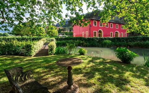 Villa Guasperini: Plant, Building, Window, Nature, Leaf, Tree, Natural Landscape, Vegetation, House, Land Lot