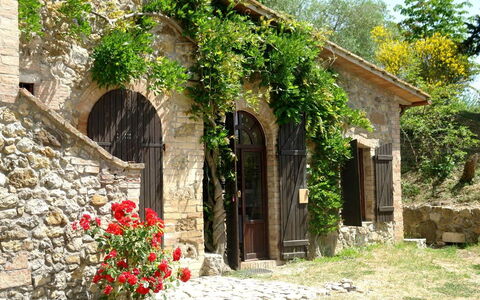 Tenuta Le Sodole: Plant, Flower, Building, Window, Door, Tree, Grass, Shrub, Rural Area, Landscape