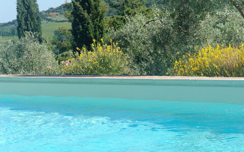 Accommodation:&nbsp;Papavero Holiday Home