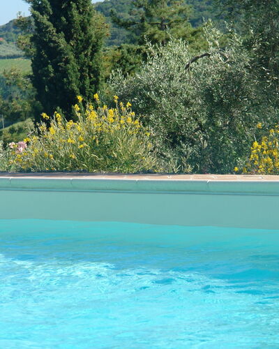 Tenuta Le Sodole: Water, Sky, Plant, Property, Swimming Pool, Plant Community, Tree, Nature, Azure, Natural Landscape