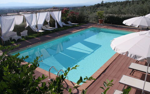 Il Fienile Holiday Home: Water, Plant, Sky, Swimming Pool, Building, Azure, Shade, Outdoor Furniture, Body Of Water, Tree