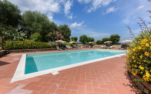 Villa Varna: Water, Plant, Cloud, Sky, Property, Swimming Pool, Body Of Water, Tree, Flower, Shade