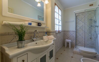 Accommodation:&nbsp;Oasi 2