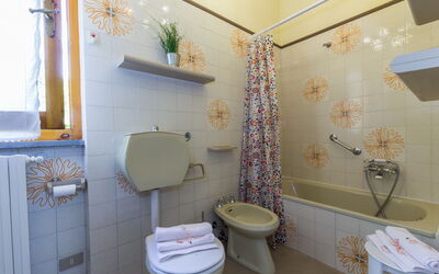 Accommodation:&nbsp;Oasi 2