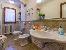 Accommodation:&nbsp;Oasi 1