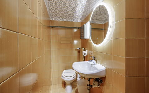 Dimora Fiorentina: Brown, Mirror, Tap, Plumbing Fixture, Sink, Bathroom Sink, Bathroom, Toilet, Purple, Wood