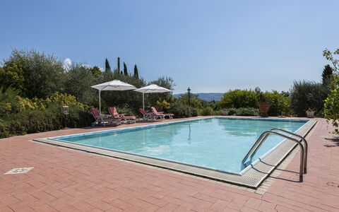 Villa Cevoli: Water, Sky, Swimming Pool, Plant, Rectangle, Shade, Tree, Composite Material, Leisure, Outdoor Furniture