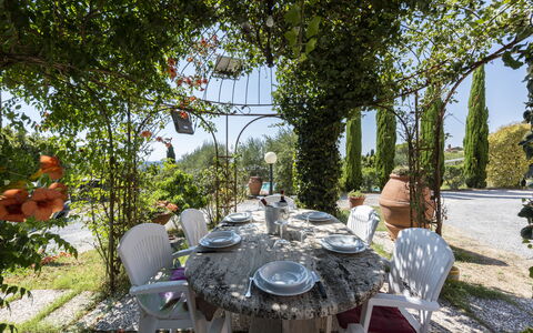 Villa Cevoli: Plant, Table, Furniture, Tableware, Chair, Nature, Tree, Outdoor Furniture, Tablecloth, Outdoor Table