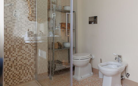 Appartamento Mancini: Plumbing Fixture, Toilet, Bathroom, Toilet Seat, Interior Design, Floor, Flooring, Plumbing, Shower Door, Wood