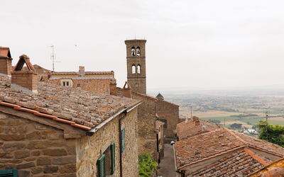 Panoramic view