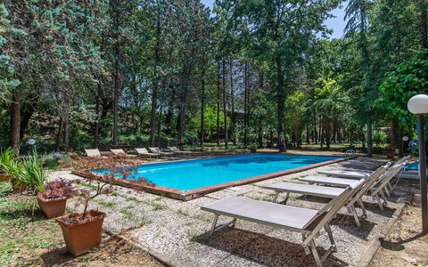 Villa Pania: Plant, Water, Azure, Swimming Pool, Flowerpot, Tree, Outdoor Furniture, Shade, Table, Leisure