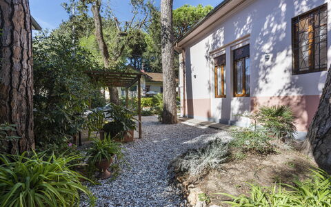 Villa Marconi: Plant, Building, Sky, Window, Road Surface, Vegetation, Architecture, Neighbourhood, Tree, Residential Area