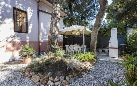 Villa Marconi: Plant, Property, Building, Road Surface, Tree, Shade, Residential Area, Real Estate, Groundcover, Landscape