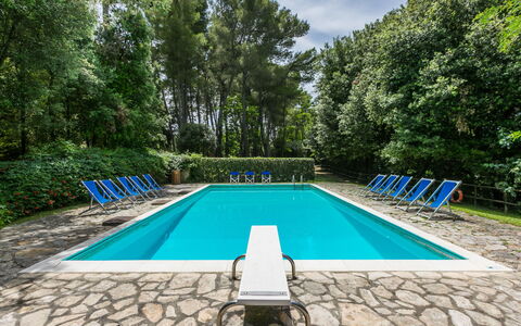 Accommodation:&nbsp;Legno 858.1