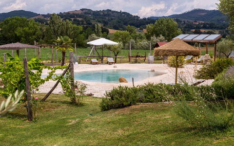 Villa Tavernacce: Water, Plant, Sky, Property, Cloud, Swimming Pool, Tree, Mountain, Body Of Water, Natural Landscape