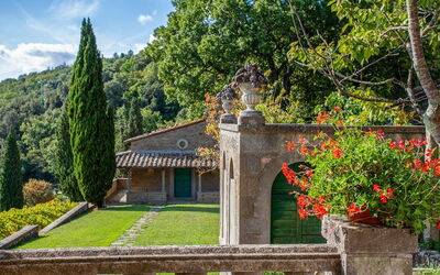 Garden and outdoor view