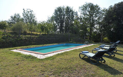 Villa Antelminelli: Plant, Sky, Swimming Pool, Tree, Shade, Outdoor Furniture, Outdoor Bench, Rectangle, Leisure, Grass