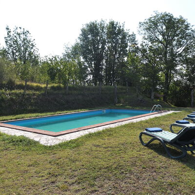 Villa Antelminelli: Plant, Sky, Swimming Pool, Tree, Shade, Outdoor Furniture, Outdoor Bench, Rectangle, Leisure, Grass