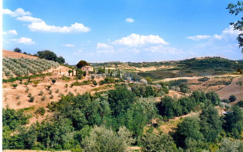 Casa Banditello: Sky, Cloud, Plant, Property, Plant Community, Ecoregion, Natural Landscape, Natural Environment, Tree, Land Lot